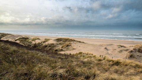 duinen-hoek-van-holland