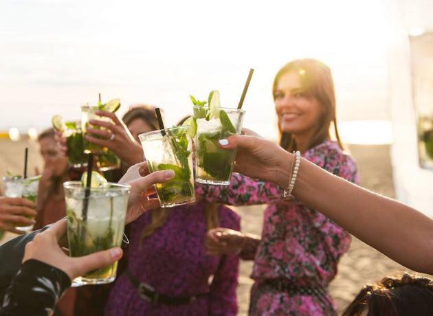 cocktail workshop hoek van holland rotterdam