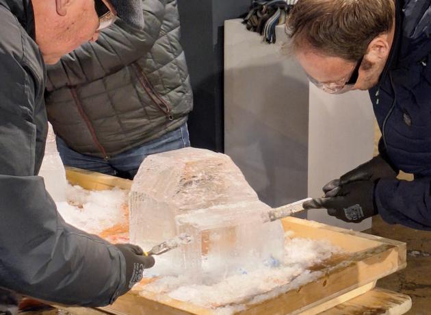 Hoek van Holland Workshop ijssculpturen maken