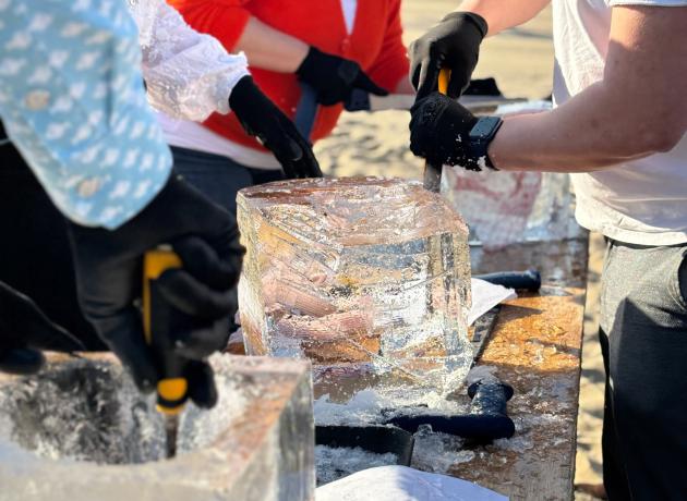 Hoek van Holland Workshop ijssculpturen maken