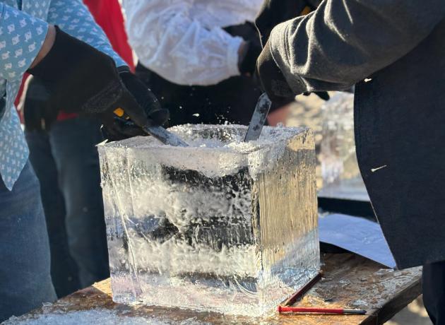 ice sculpting experience hoek van holland