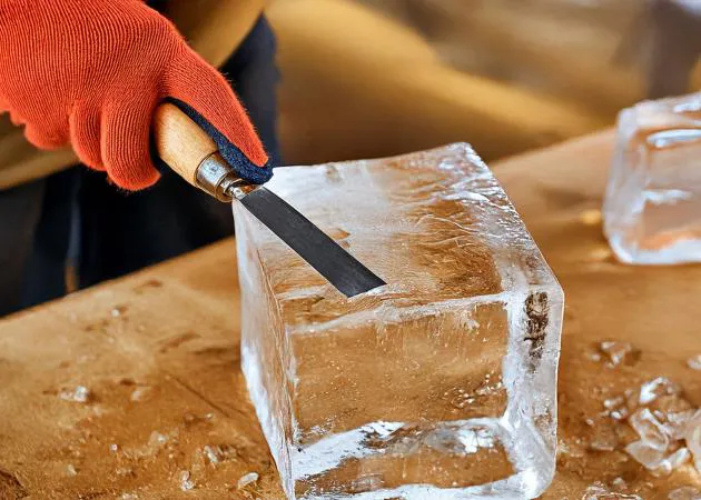 Ice Sculpting Workshop
